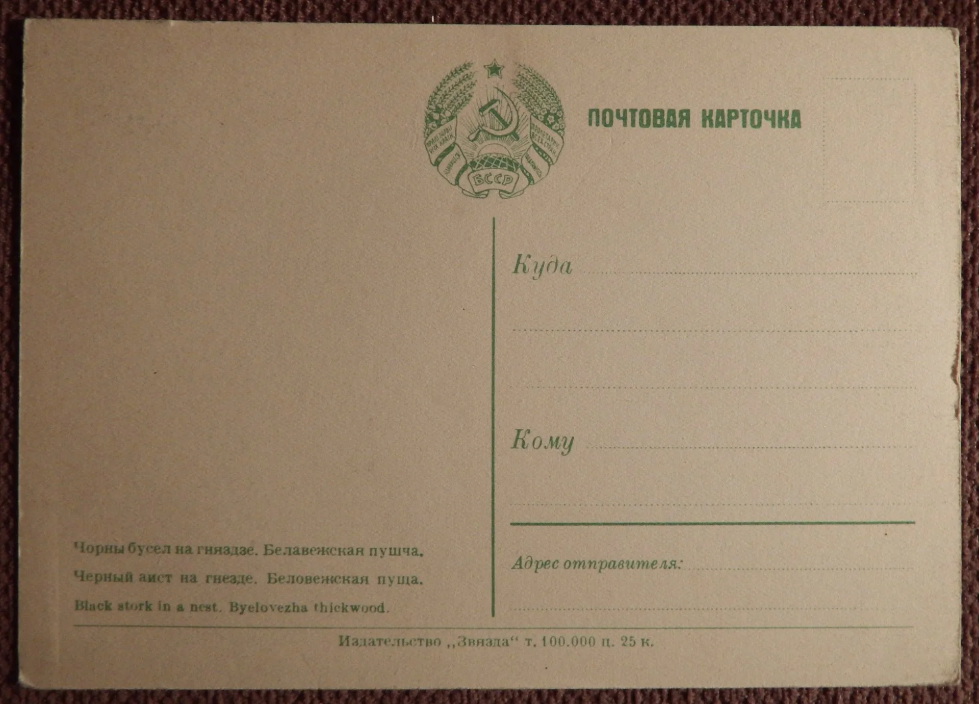 Открытка. Беловежская пуща. Черный аист на гнезде. 1950-е годы - миниатюра 2