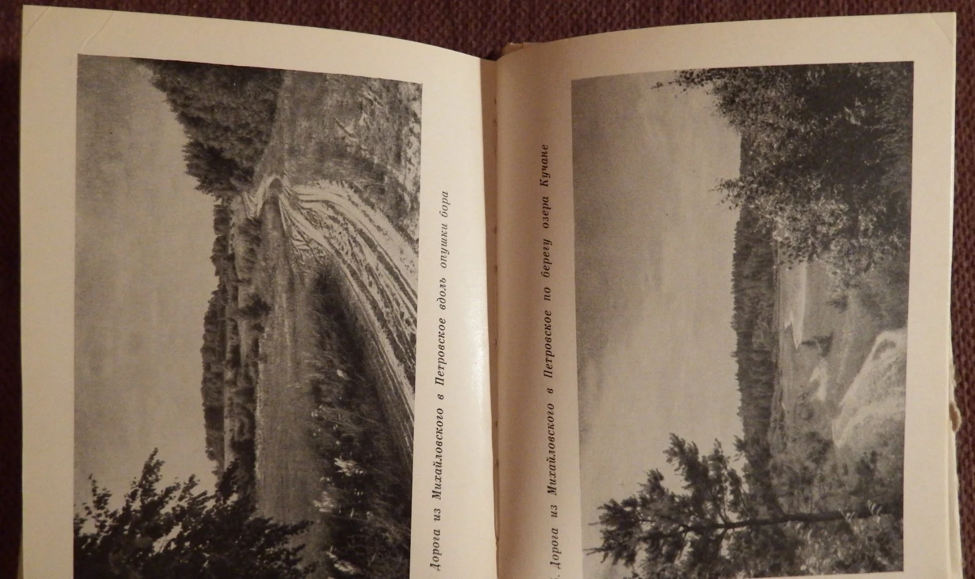 Книга. А. Гордин. Пушкинский заповедник. 1968 год - миниатюра 5