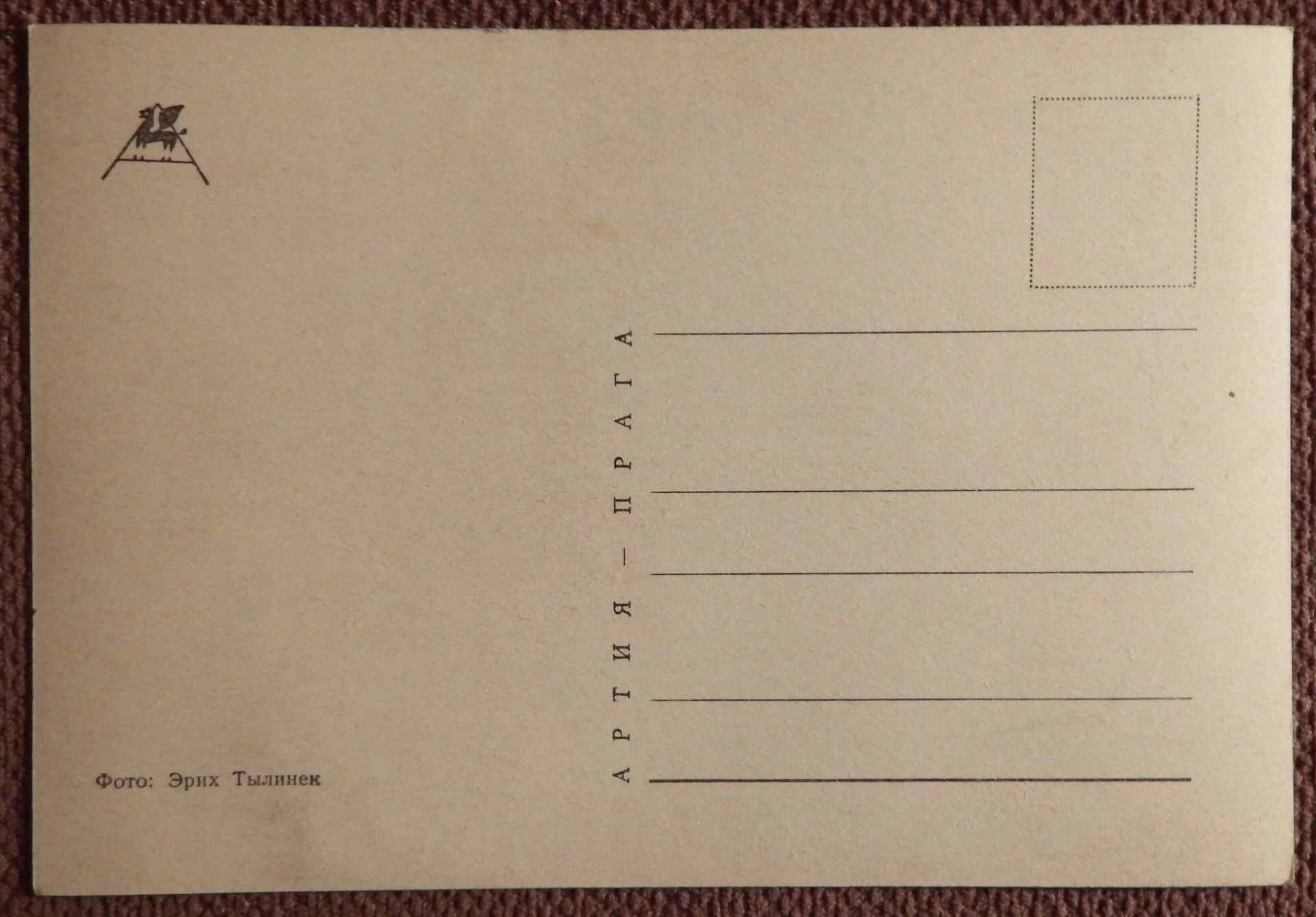 Открытка. Котята 1. Прага. Чехословакия. 1960-е годы - миниатюра 2