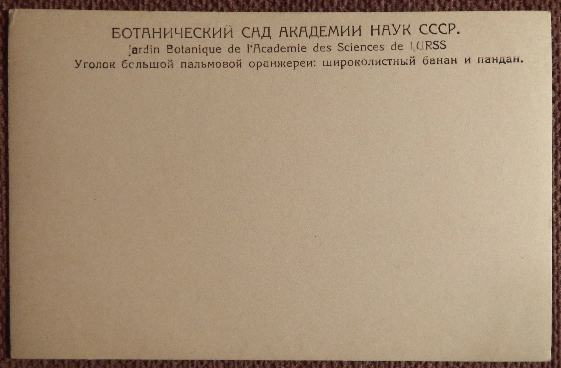 Открытка. Ботанический сад Академии наук СССР. 1920-е годы - миниатюра 2