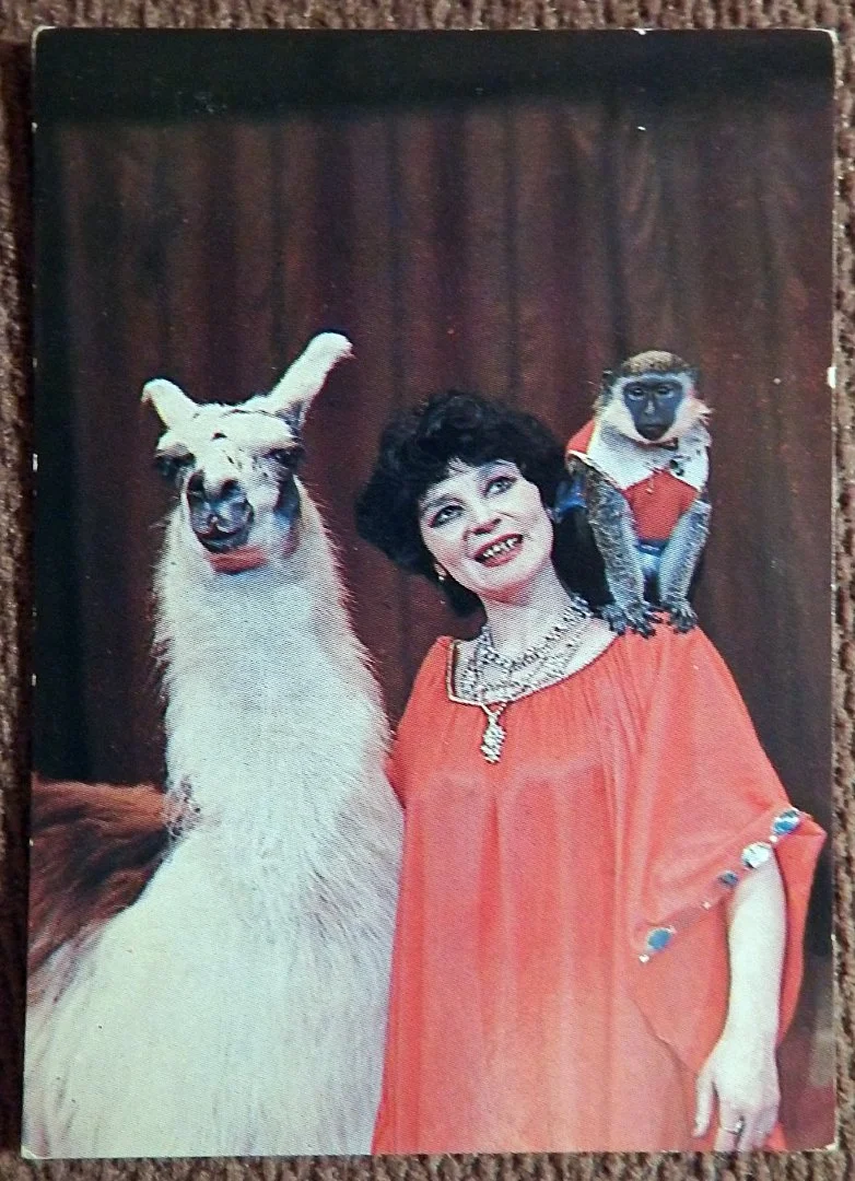 Карманный календарь. Цирк. Л. Кафарова.1984 год - изображение 1
