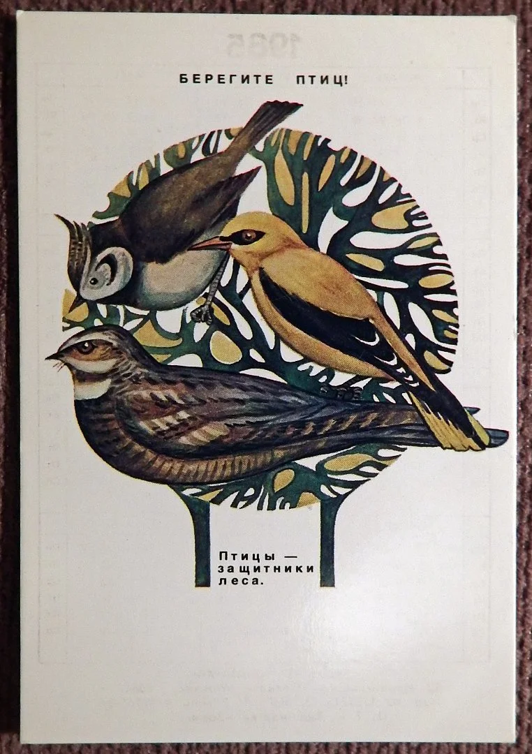 Карманный календарь СССР. Берегите птиц. 1985 год - изображение 1