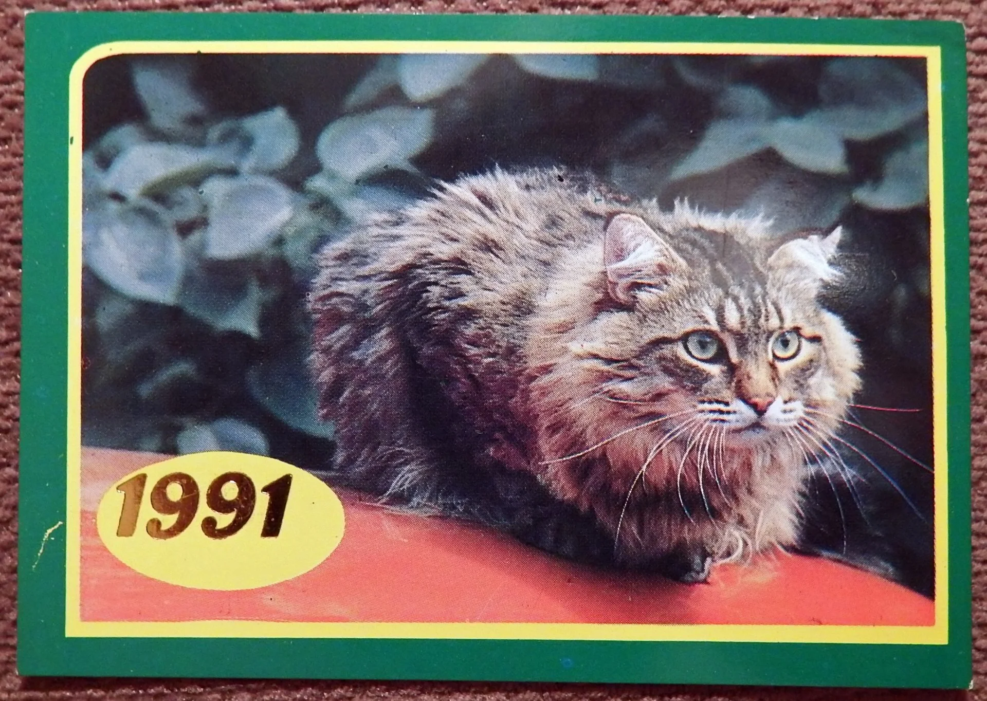 Карманный календарь. Кот. Кошка. 1991 год - изображение 1