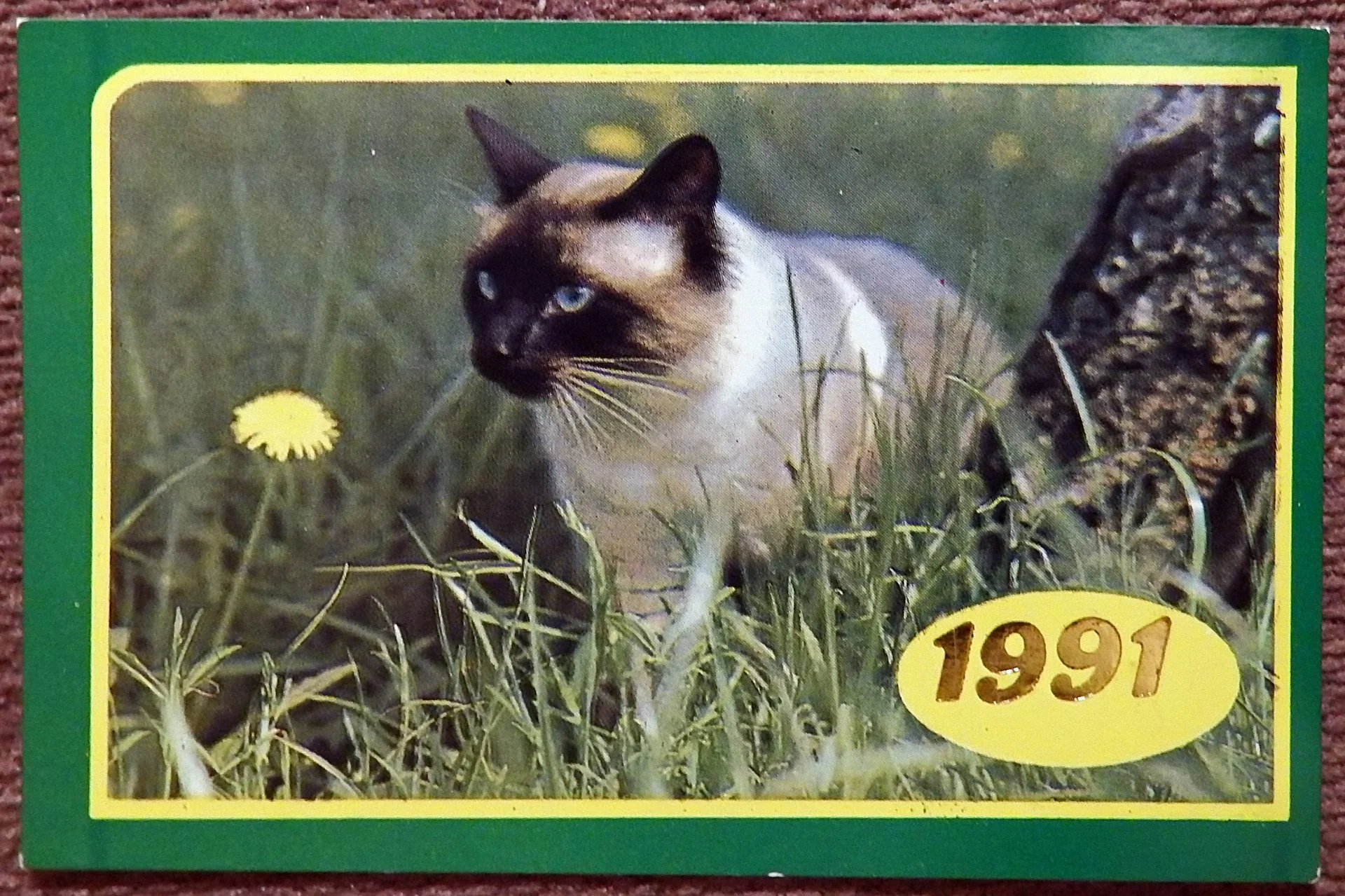 Карманный календарь. Кот. Кошка. 1991 год - изображение 1