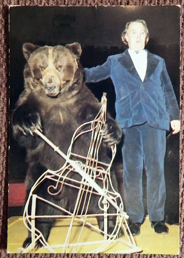 Карманный календарь. Цирк. Михаил Симонов. 1984 год - изображение 1