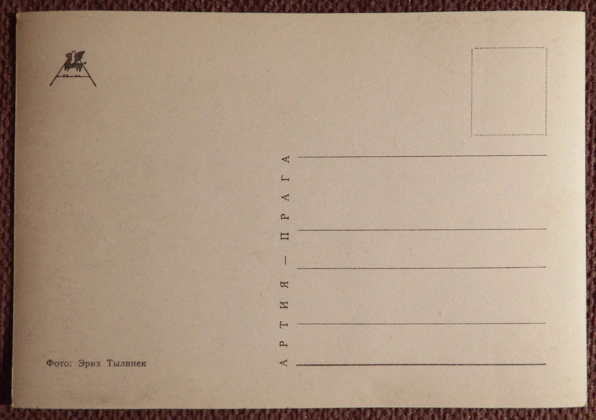 Открытка. Котята на дереве. Прага. Чехословакия. 1960-е годы - миниатюра 2