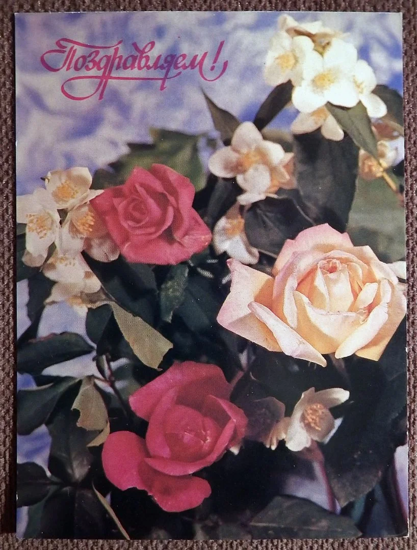 Открытка. Поздравляем. Розы. Цветы. 1991 год - изображение 1