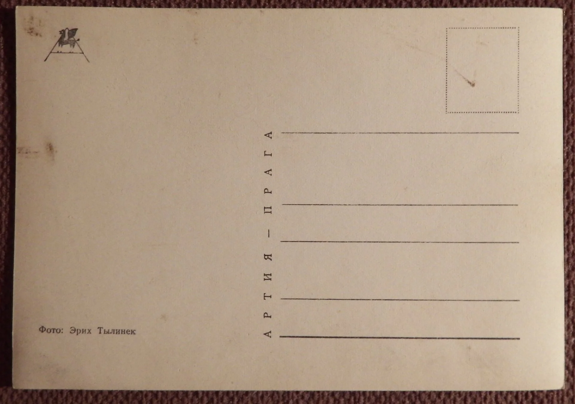 Открытка. Котенок на дереве. Прага. Чехословакия. 1960-е годы - миниатюра 2
