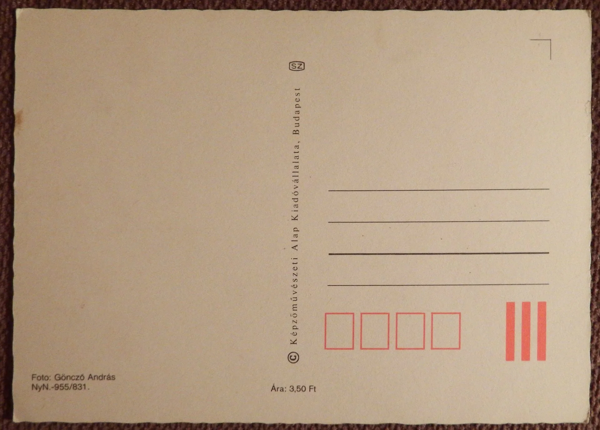 Открытка. Ромашки. Цветы. Венгрия. 1980-е годы - миниатюра 2