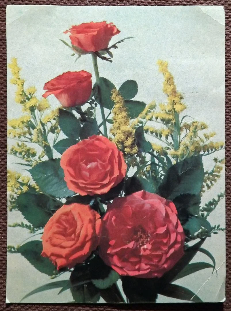 Открытка. Дергилев. Розы. Букет. Цветы. 1990 год - изображение 1