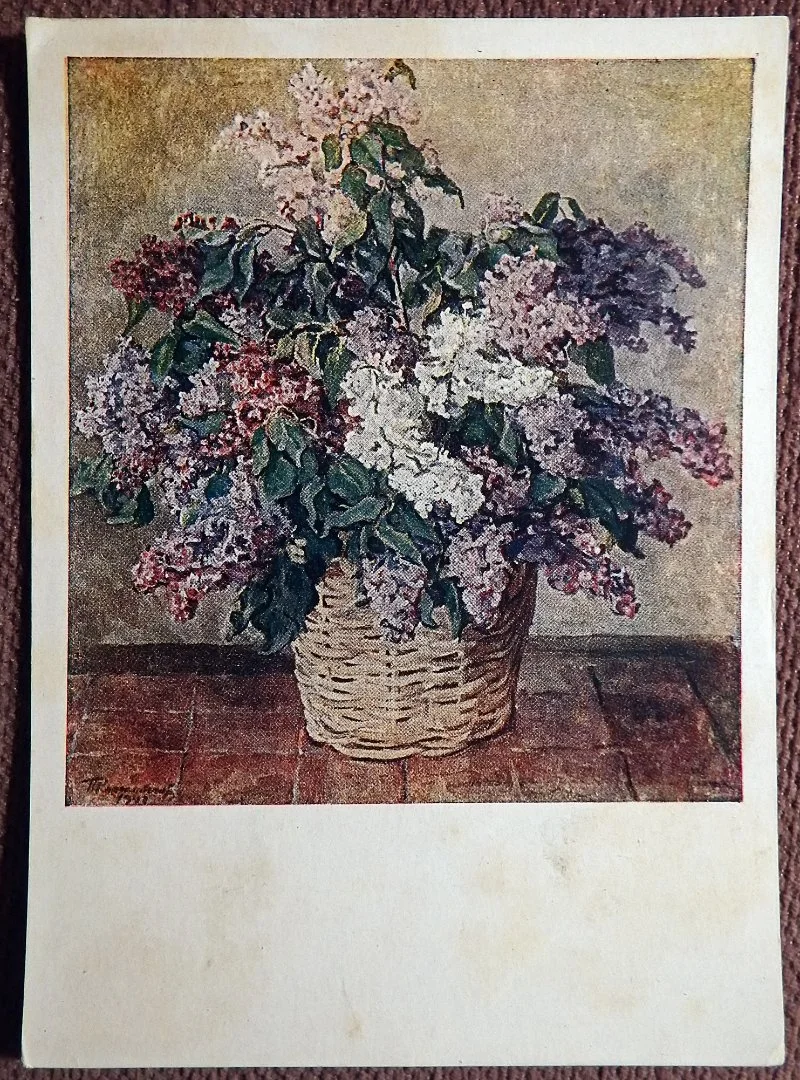 Открытка. Кончаловский. Сирень. Живопись. 1930-е годы - изображение 1