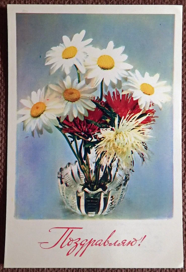 Открытка. Поздравляю. Ромашки. Астры. Цветы. 1978 год - изображение 1