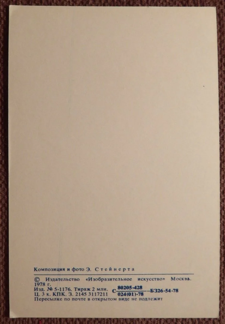 Открытка. Поздравляю. Ромашки. Астры. Цветы. 1978 год - миниатюра 2
