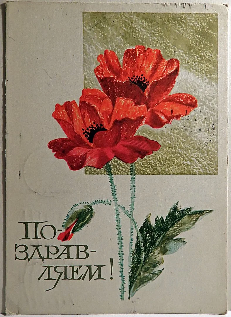 Открытка. Худ. Круглов. 1968 год. - изображение 1