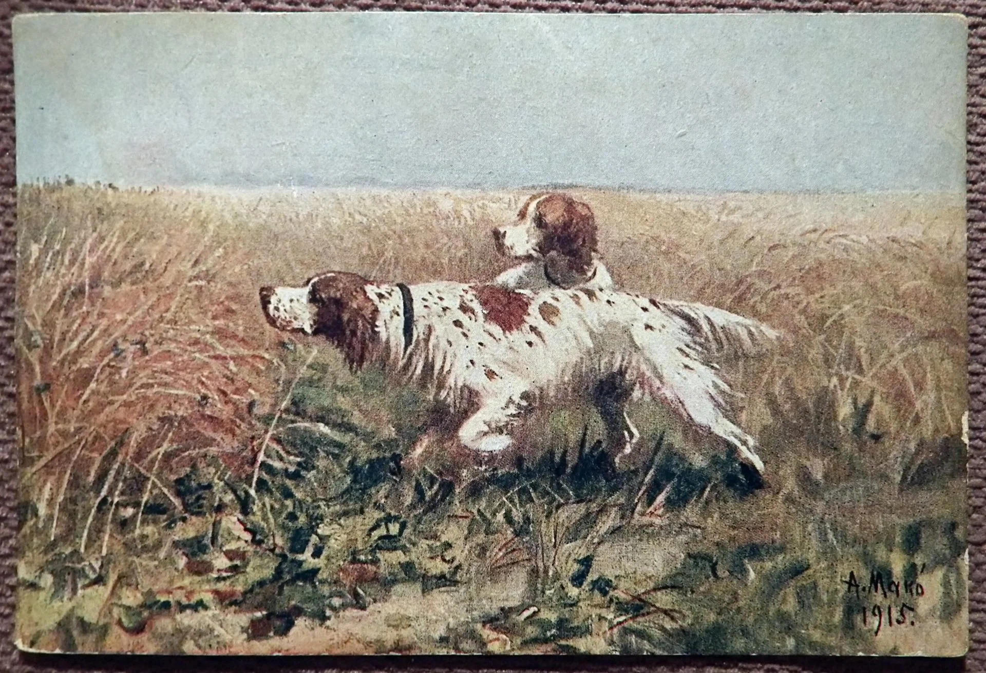 Антикварная открытка. А. Мако. По куропаткам. Желто-пегие сеттеры. Собака. Изд-во Рассвет