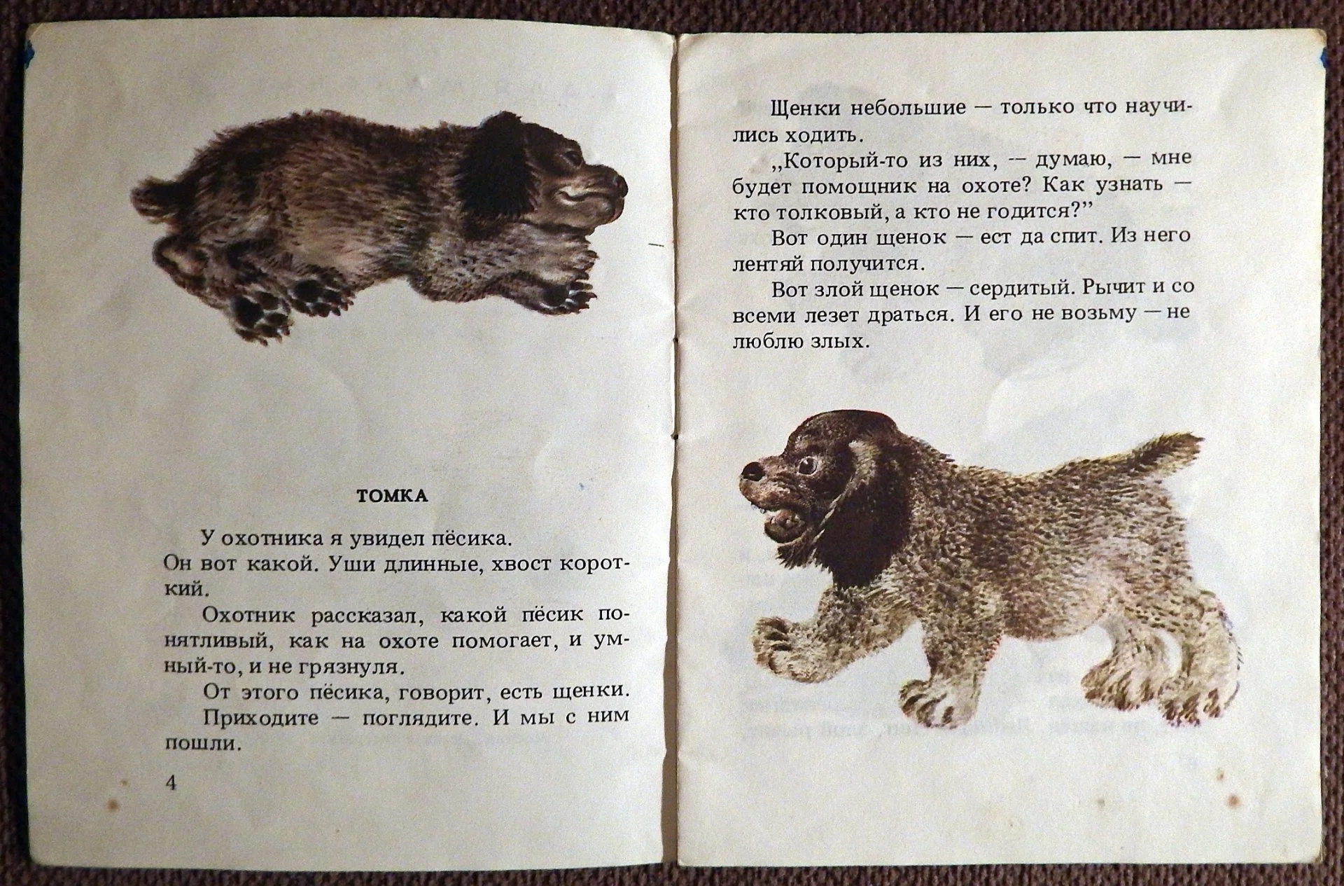 Книжка-малютка. Е. Чарушин. Про Томку. 1989 год - миниатюра 2