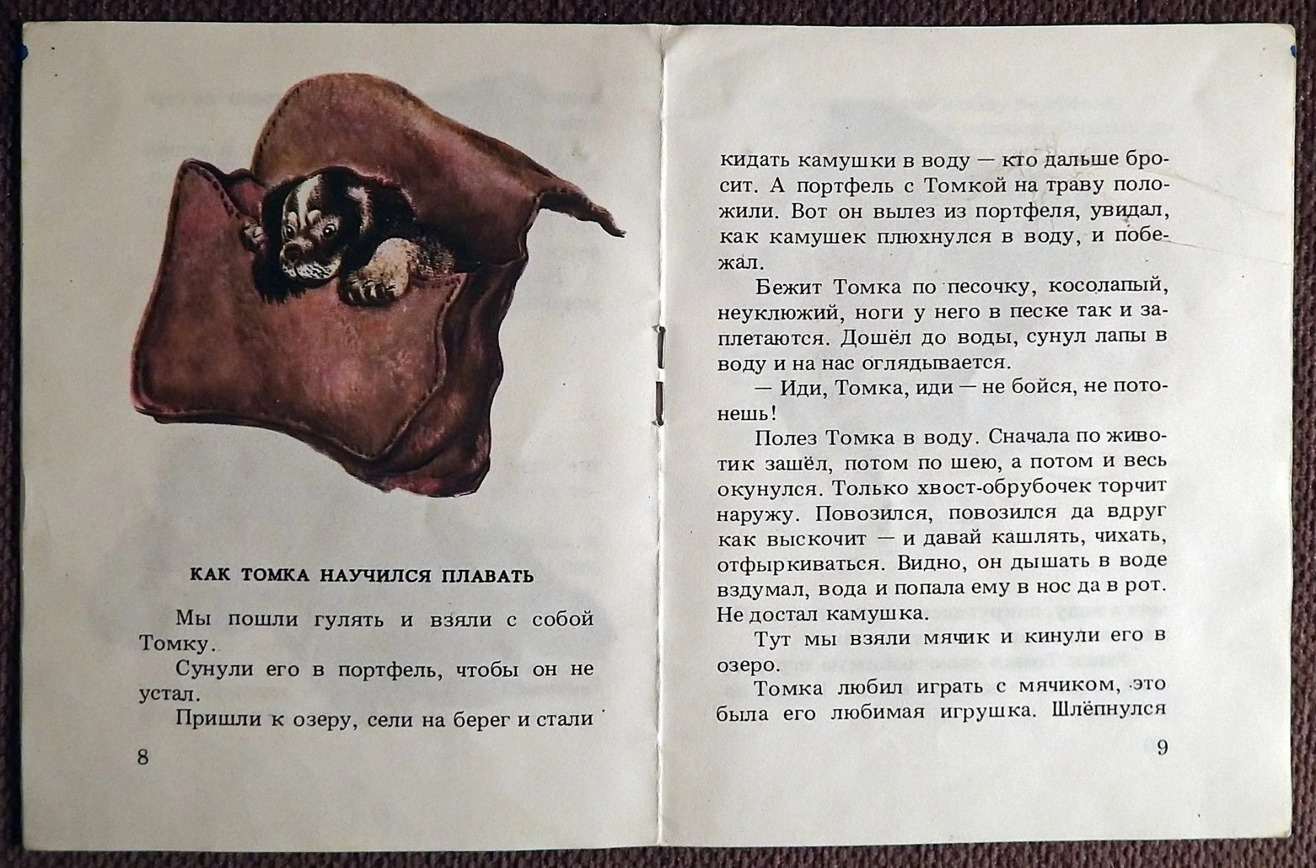 Книжка-малютка. Е. Чарушин. Про Томку. 1989 год - миниатюра 3