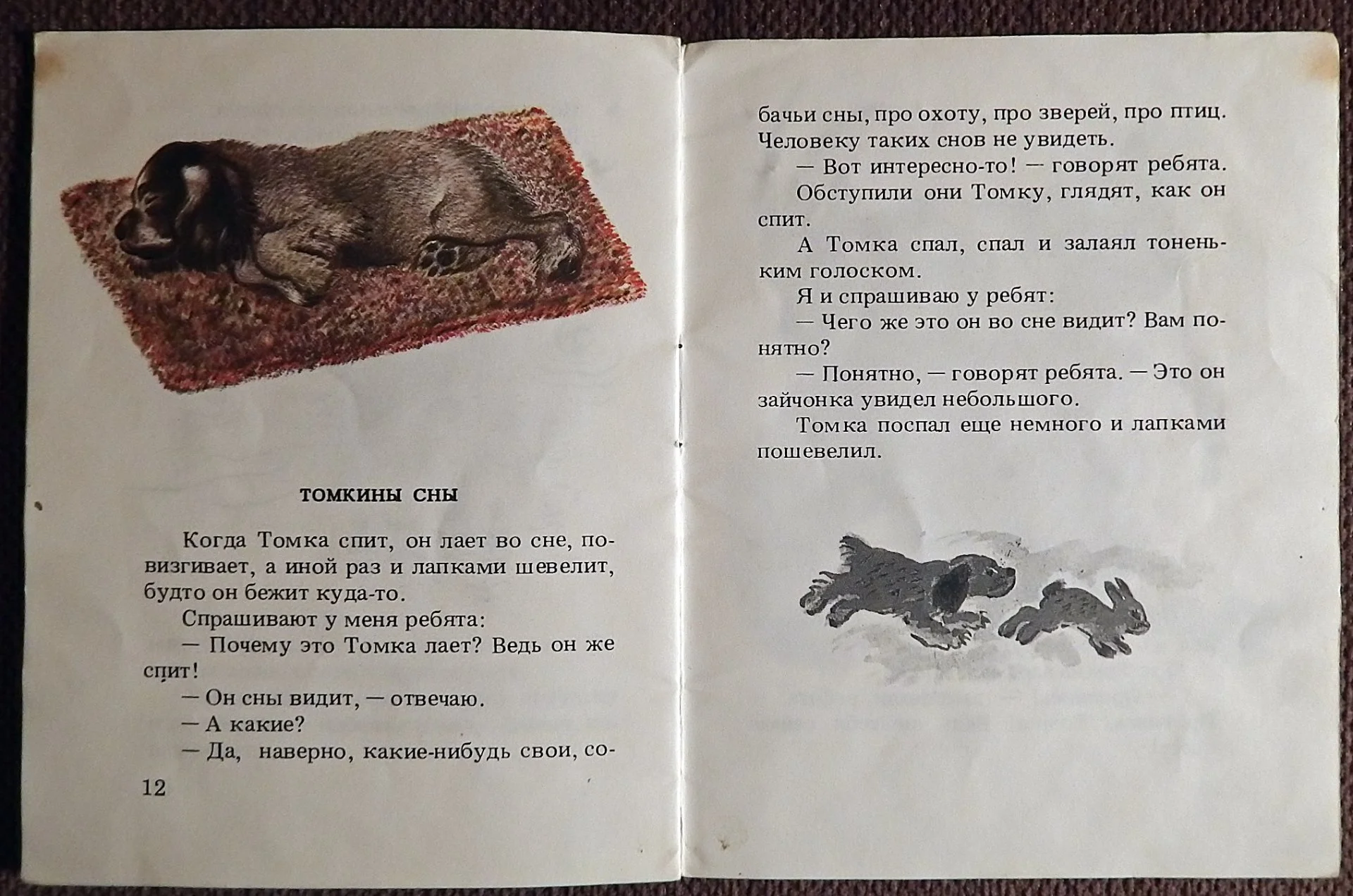Книжка-малютка. Е. Чарушин. Про Томку. 1989 год - миниатюра 4