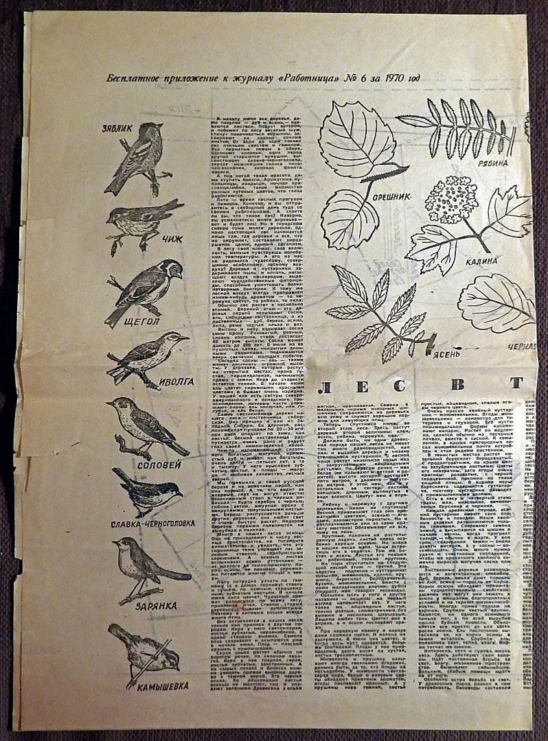 Выкройки. Женская одежда. Приложение к журналу Работница. 1970 год - миниатюра 2