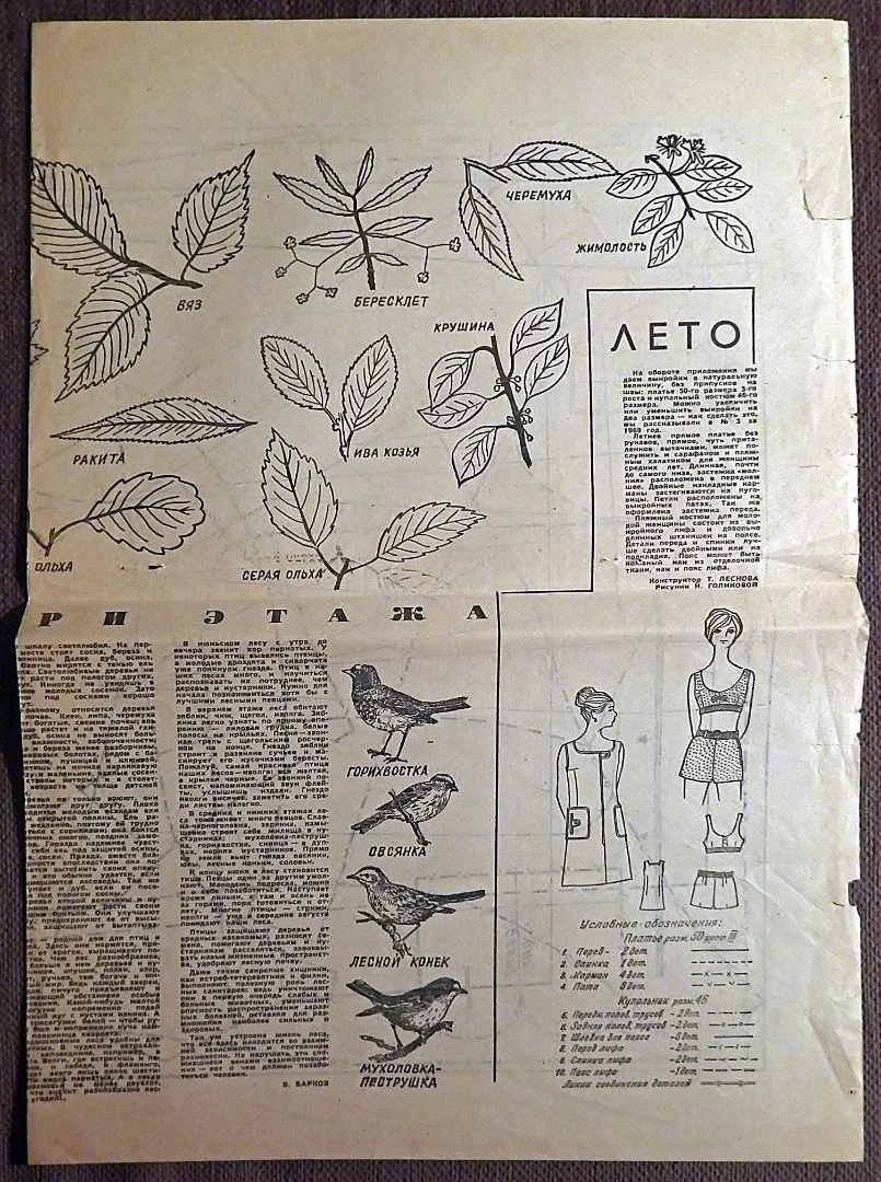 Выкройки. Женская одежда. Приложение к журналу Работница. 1970 год - миниатюра 3