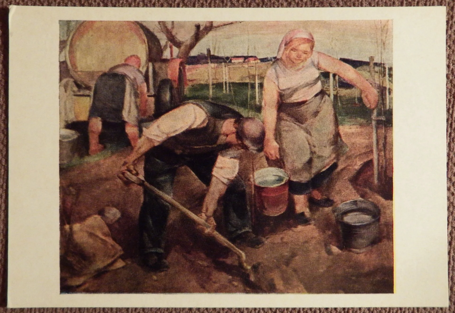 Открытка. Озол. Новый сад. 1973 год - изображение 1