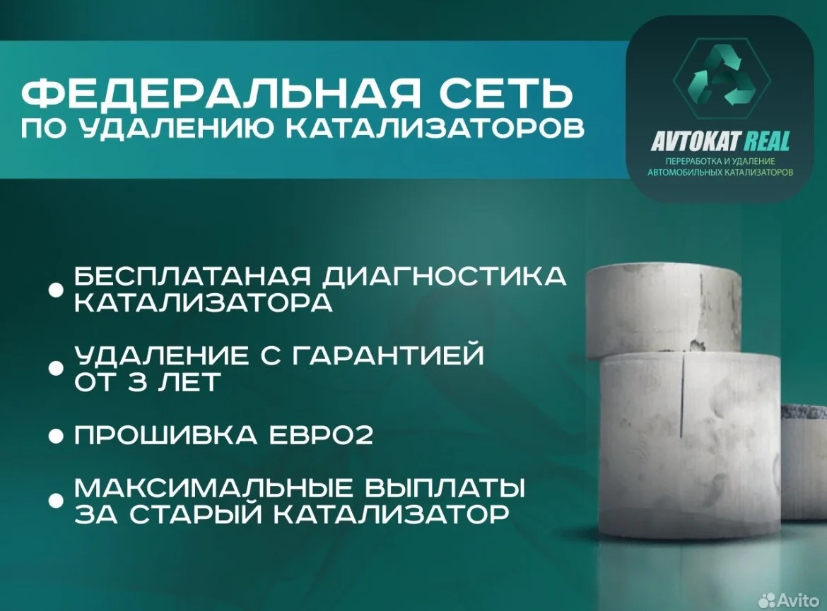 Удаление и скупка катализаторов ,прошивка на евро2 - изображение 1