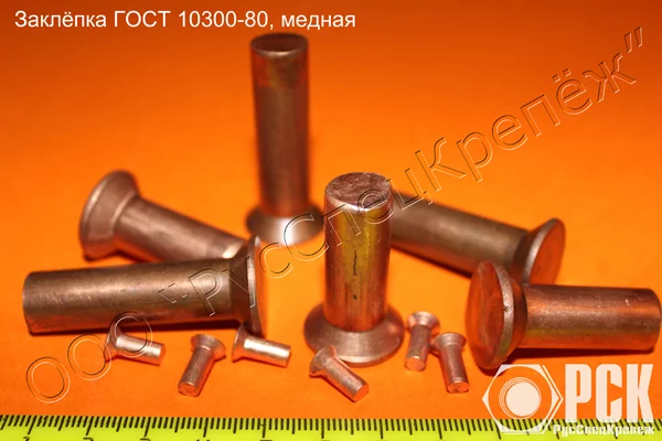 Заклепки из сплавов Л63, БрАЖ, М3 - изображение 1