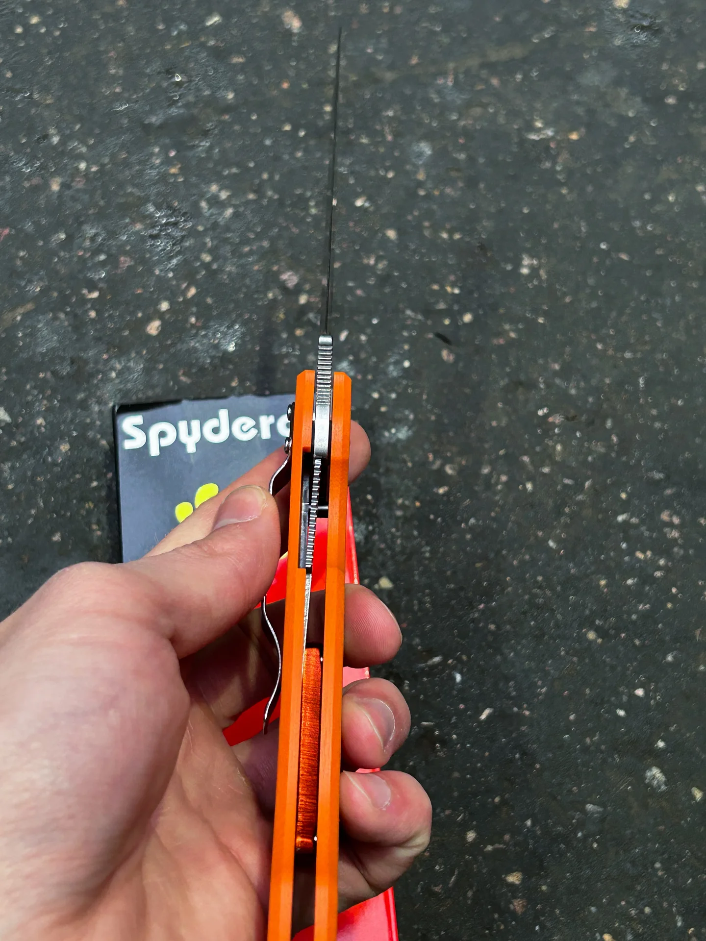 Нож Spyderco Military - миниатюра 7