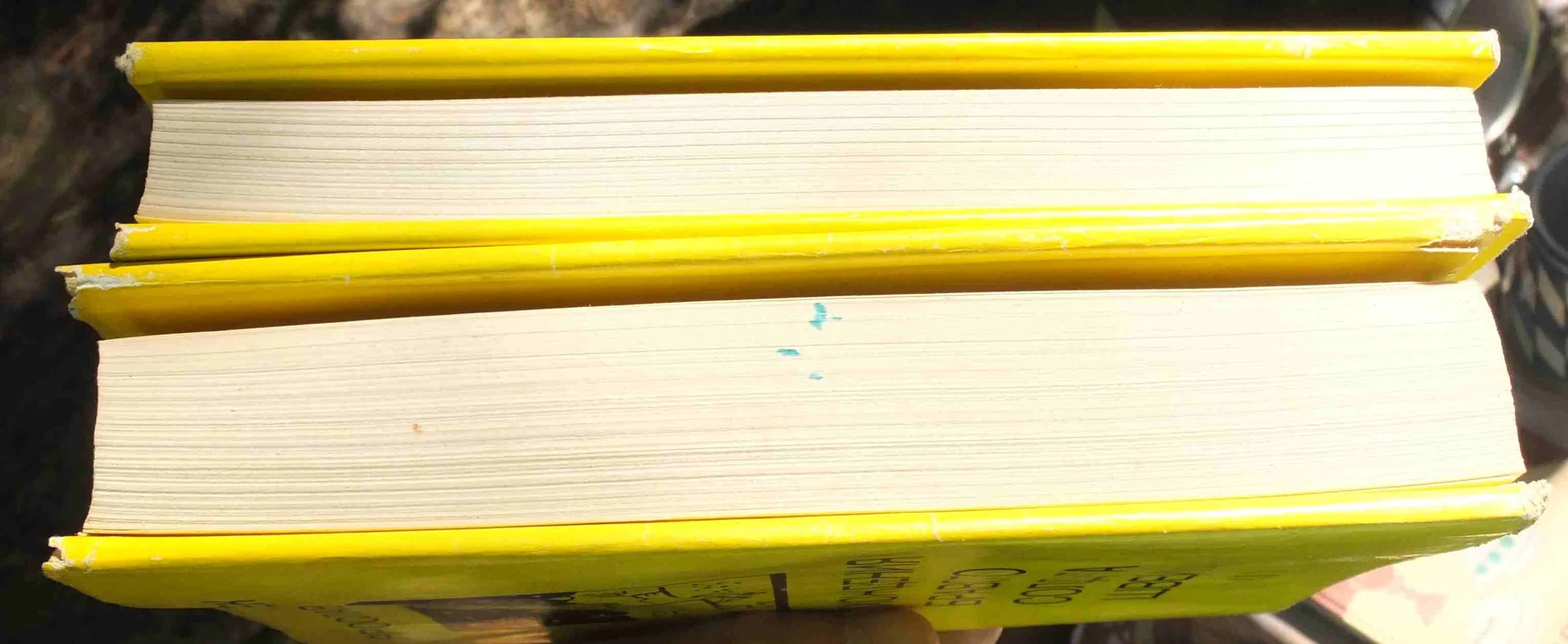 книги Похождения бравого солдата Швейка, в двух томах 1984 год - миниатюра 2