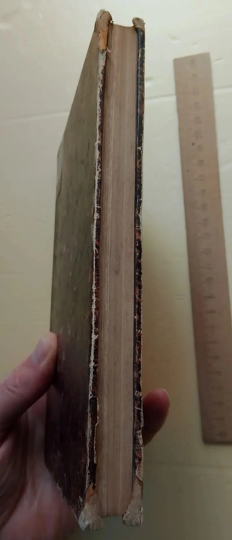 книга Флавиан, или из Рима в пустыню , Александр Гиро, 1835 год - миниатюра 3