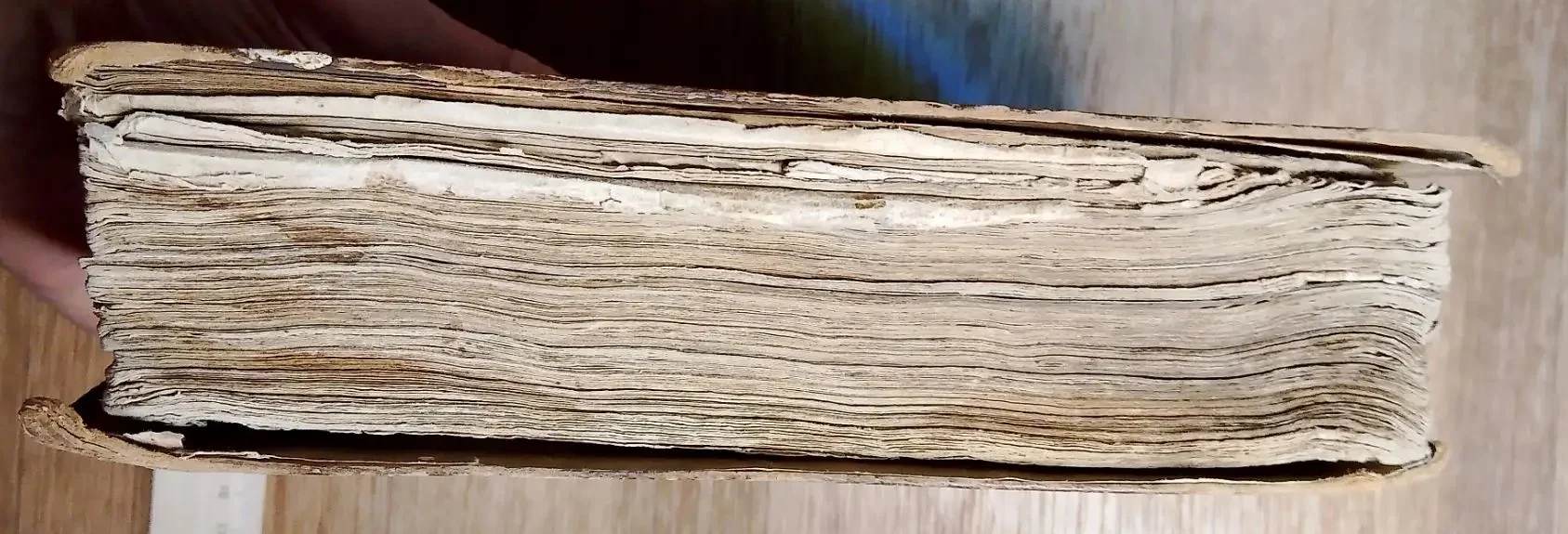 церковная книга Ирмологий, 1789 год - миниатюра 2