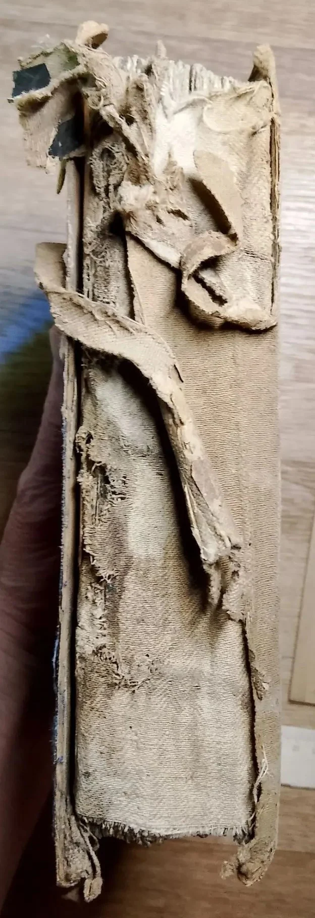 церковная книга Ирмологий, 1789 год - миниатюра 3