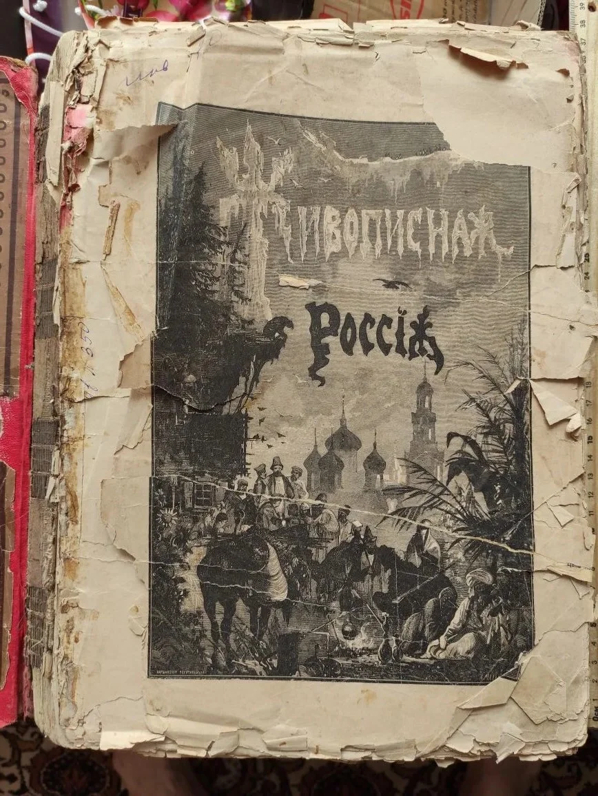 книга Живописная Россия, том 4, царство Польское, 1896 год