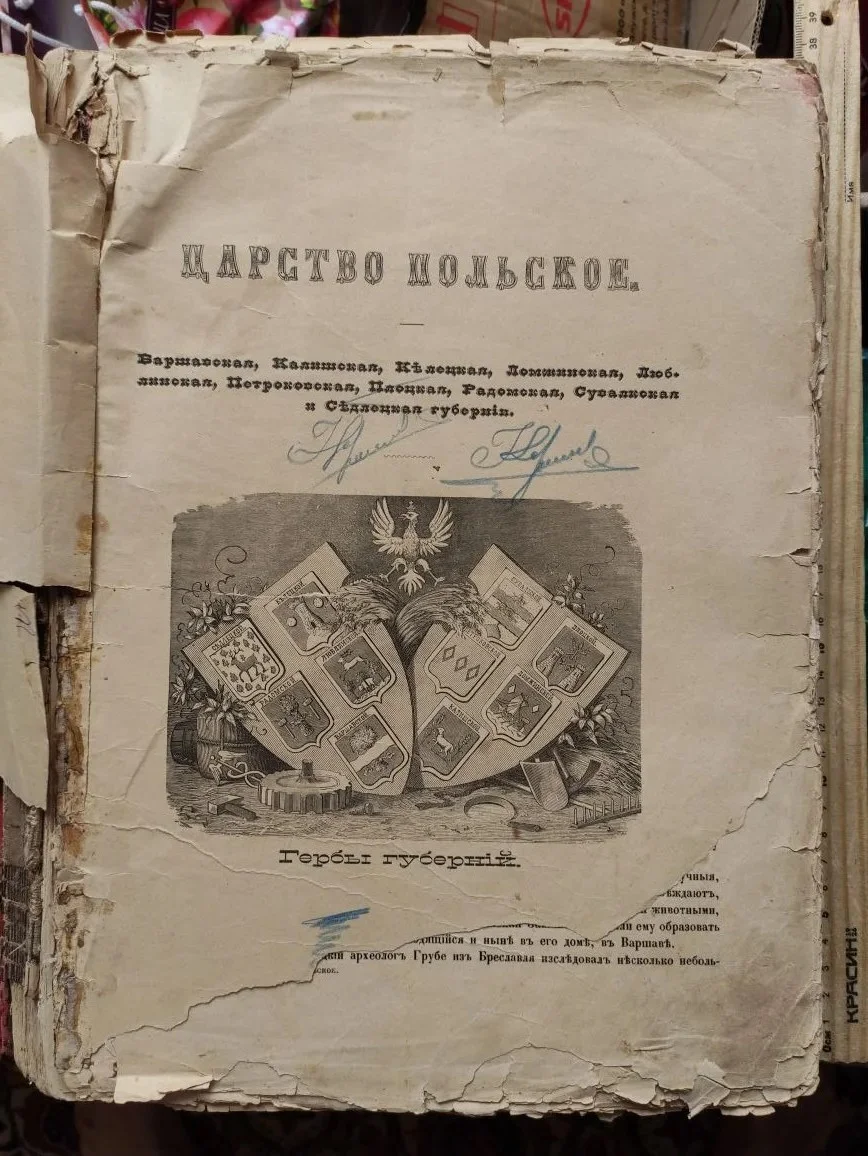 книга Живописная Россия, том 4, царство Польское, 1896 год - миниатюра 2