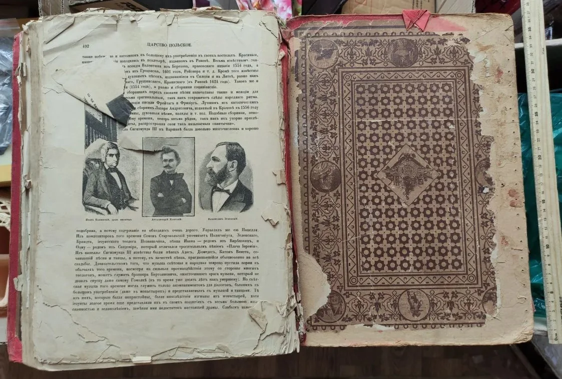 книга Живописная Россия, том 4, царство Польское, 1896 год - миниатюра 3