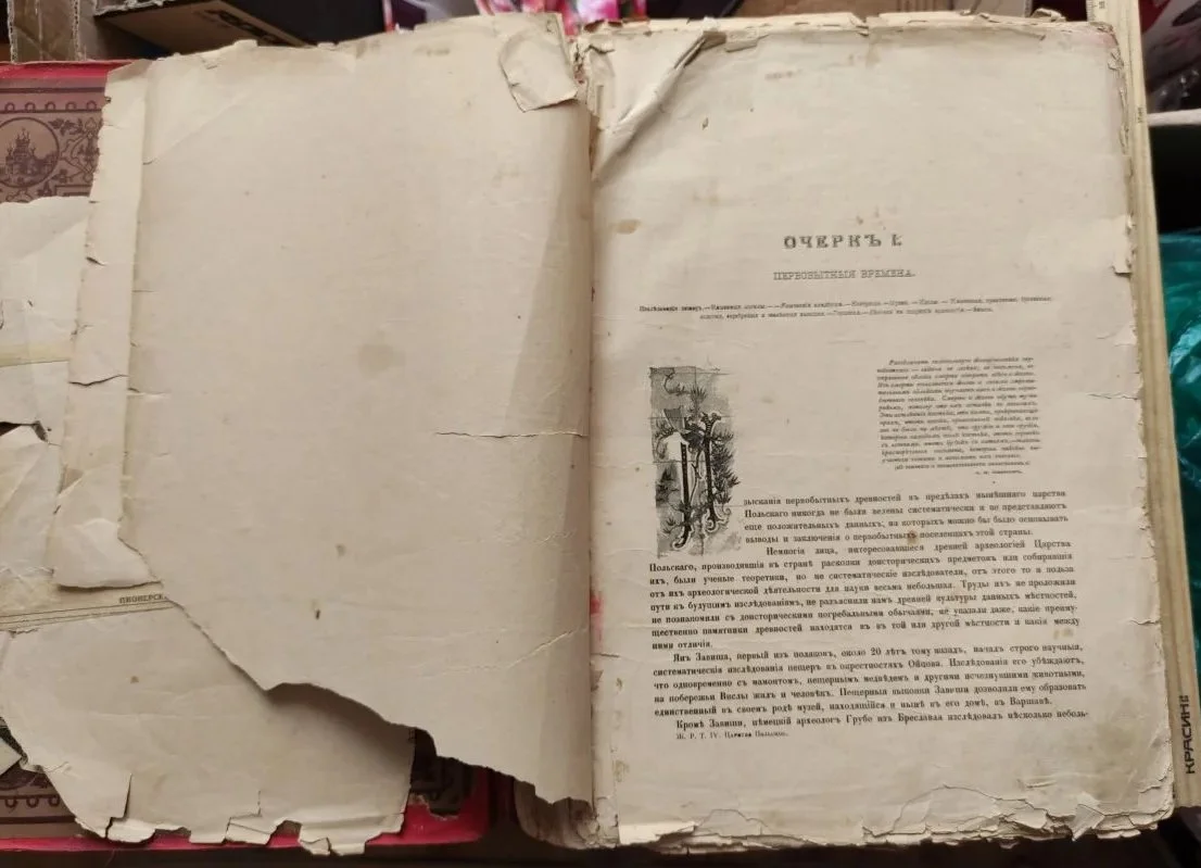 книга Живописная Россия, том 4, царство Польское, 1896 год - миниатюра 4