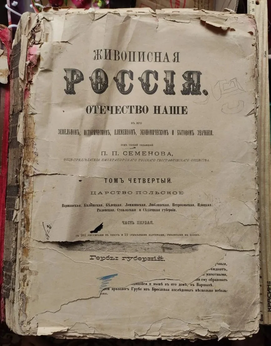 книга Живописная Россия, том 4, царство Польское, 1896 год - миниатюра 5