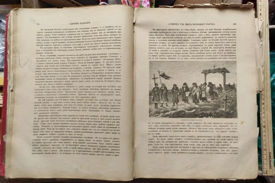книга Живописная Россия, том 4, царство Польское, 1896 год - миниатюра 6