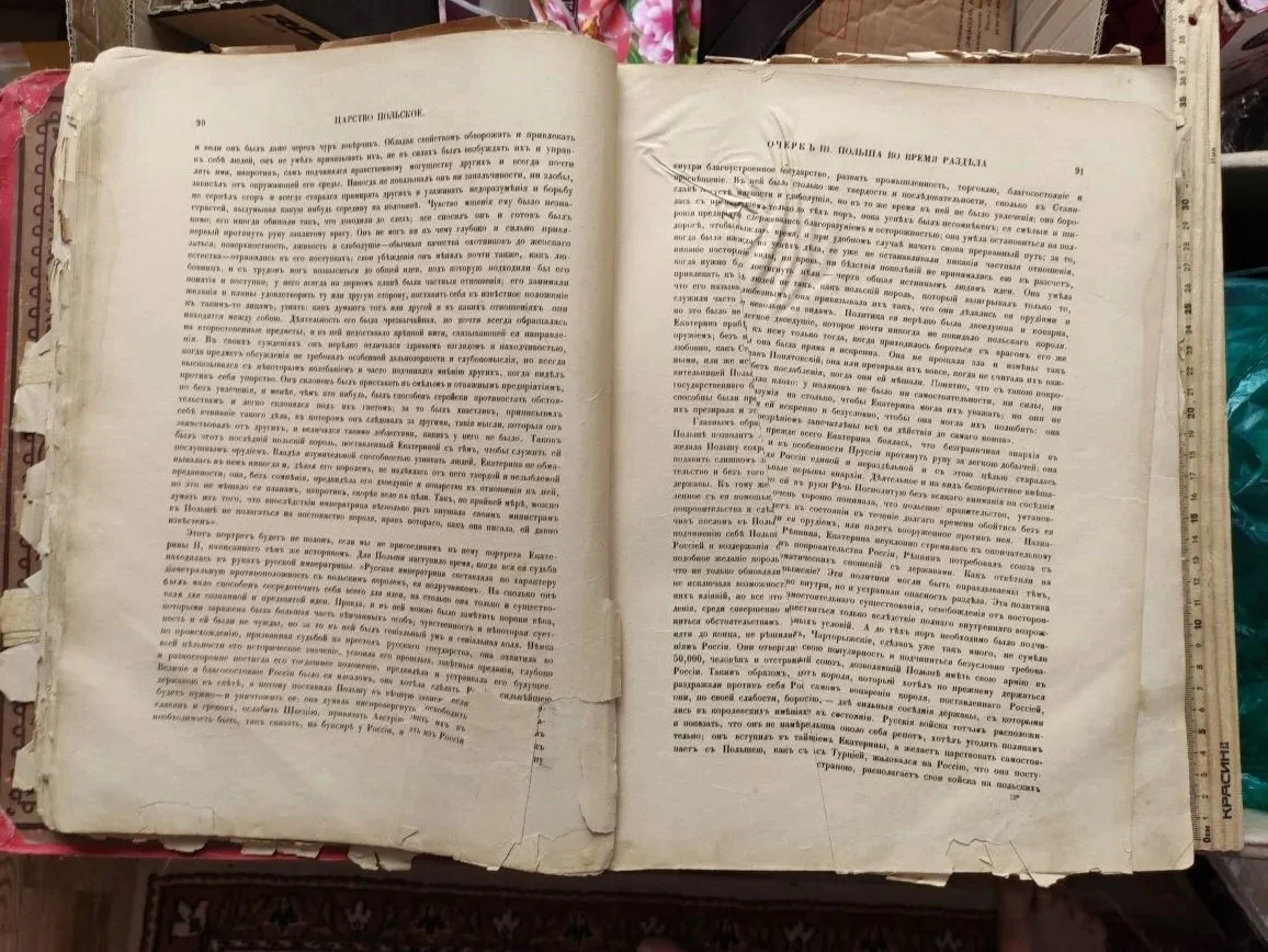книга Живописная Россия, том 4, царство Польское, 1896 год - миниатюра 7