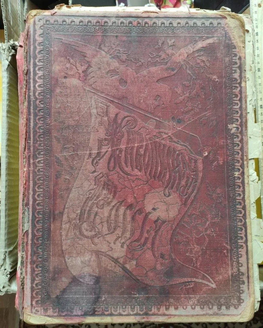 книга Живописная Россия, том 4, царство Польское, 1896 год - миниатюра 9