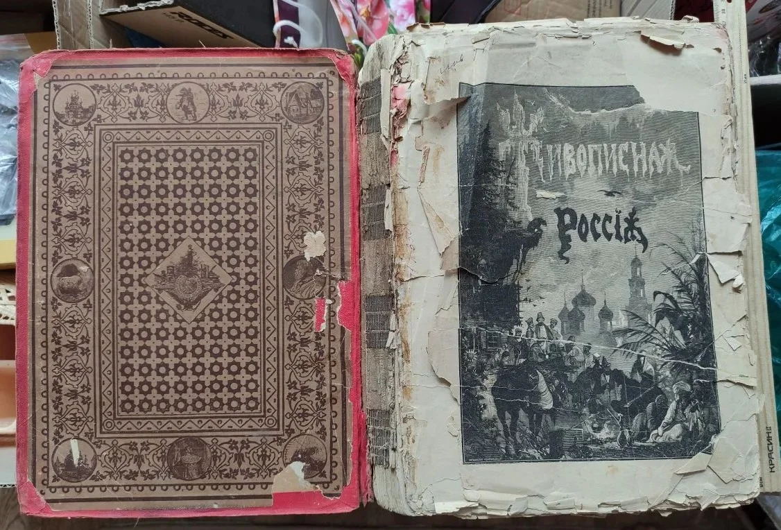 книга Живописная Россия, том 4, царство Польское, 1896 год - миниатюра 10