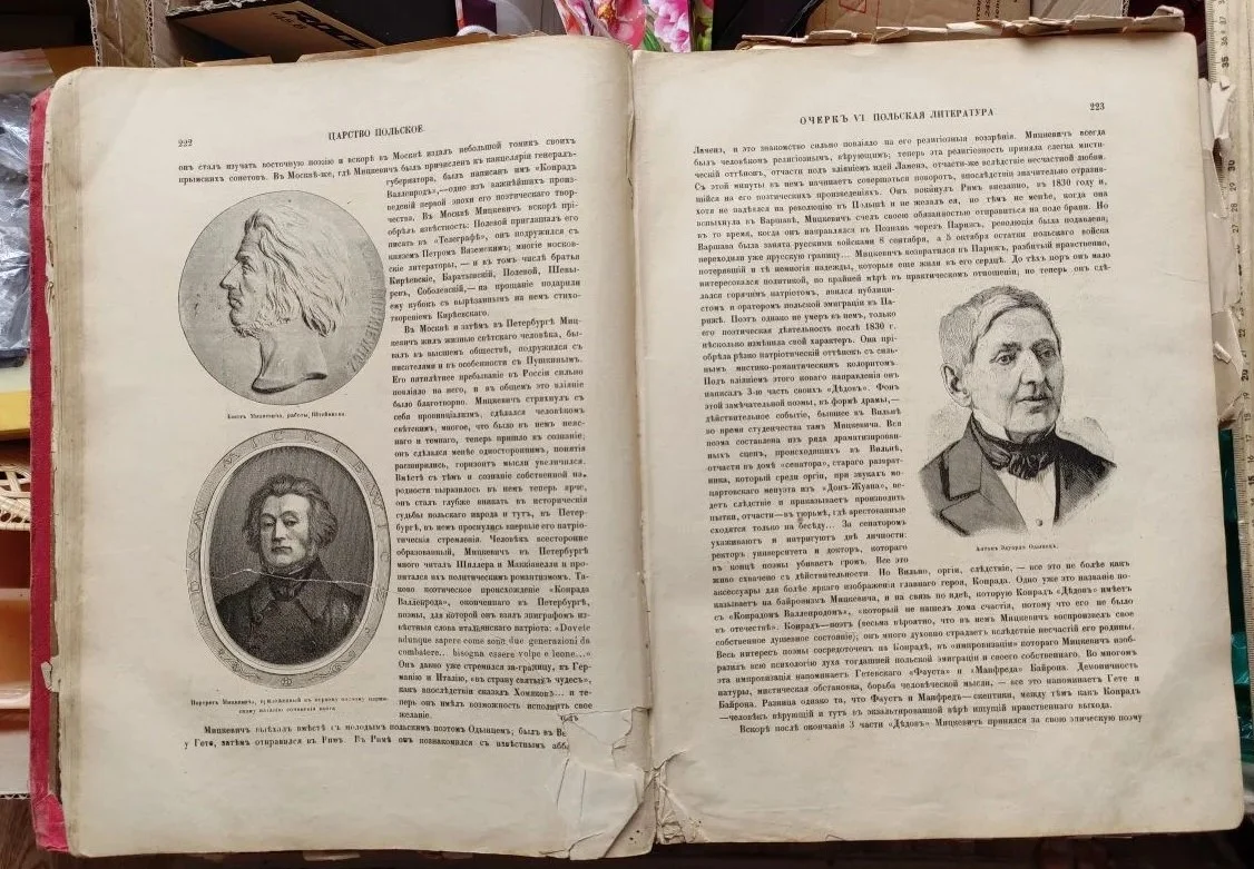 книга Живописная Россия, том 4, царство Польское, 1896 год - миниатюра 12