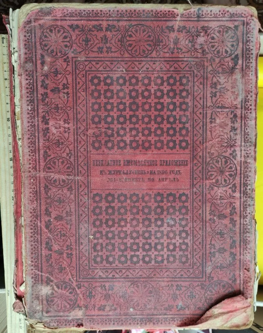 книга Живописная Россия, том 4, царство Польское, 1896 год - миниатюра 13