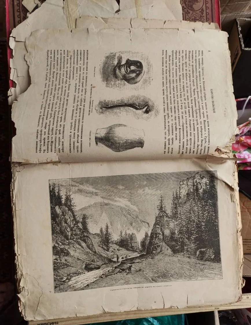 книга Живописная Россия, том 4, царство Польское, 1896 год - миниатюра 14