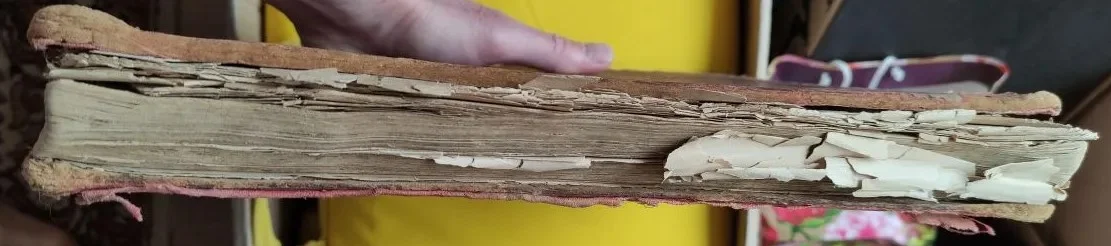 книга Живописная Россия, том 4, царство Польское, 1896 год - миниатюра 15