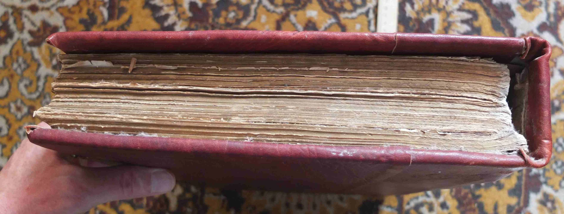 напрестольное Евангелие, Николай 2, 19 век - миниатюра 7