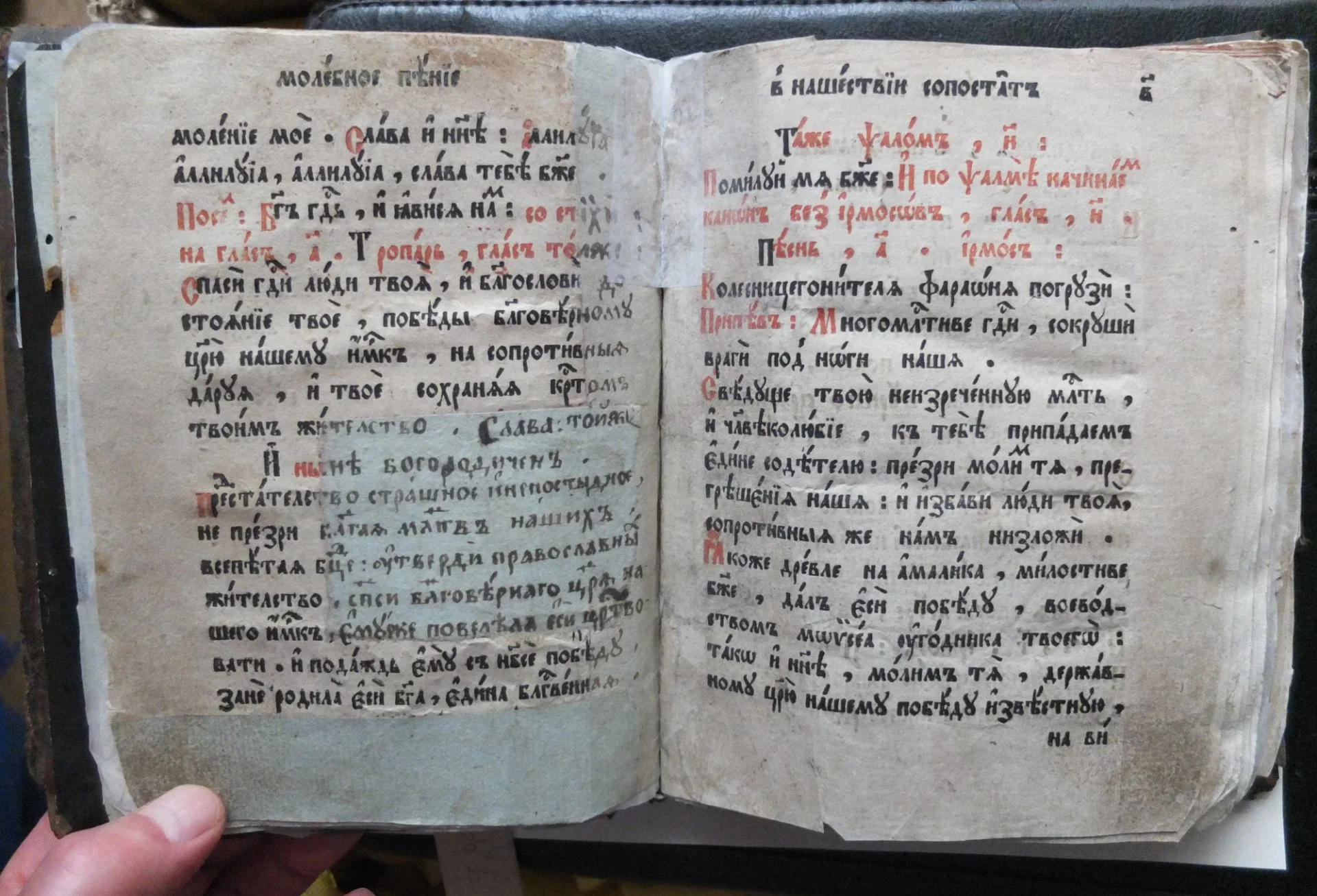 книга Последование молебных пений, Пётр 1 - миниатюра 8