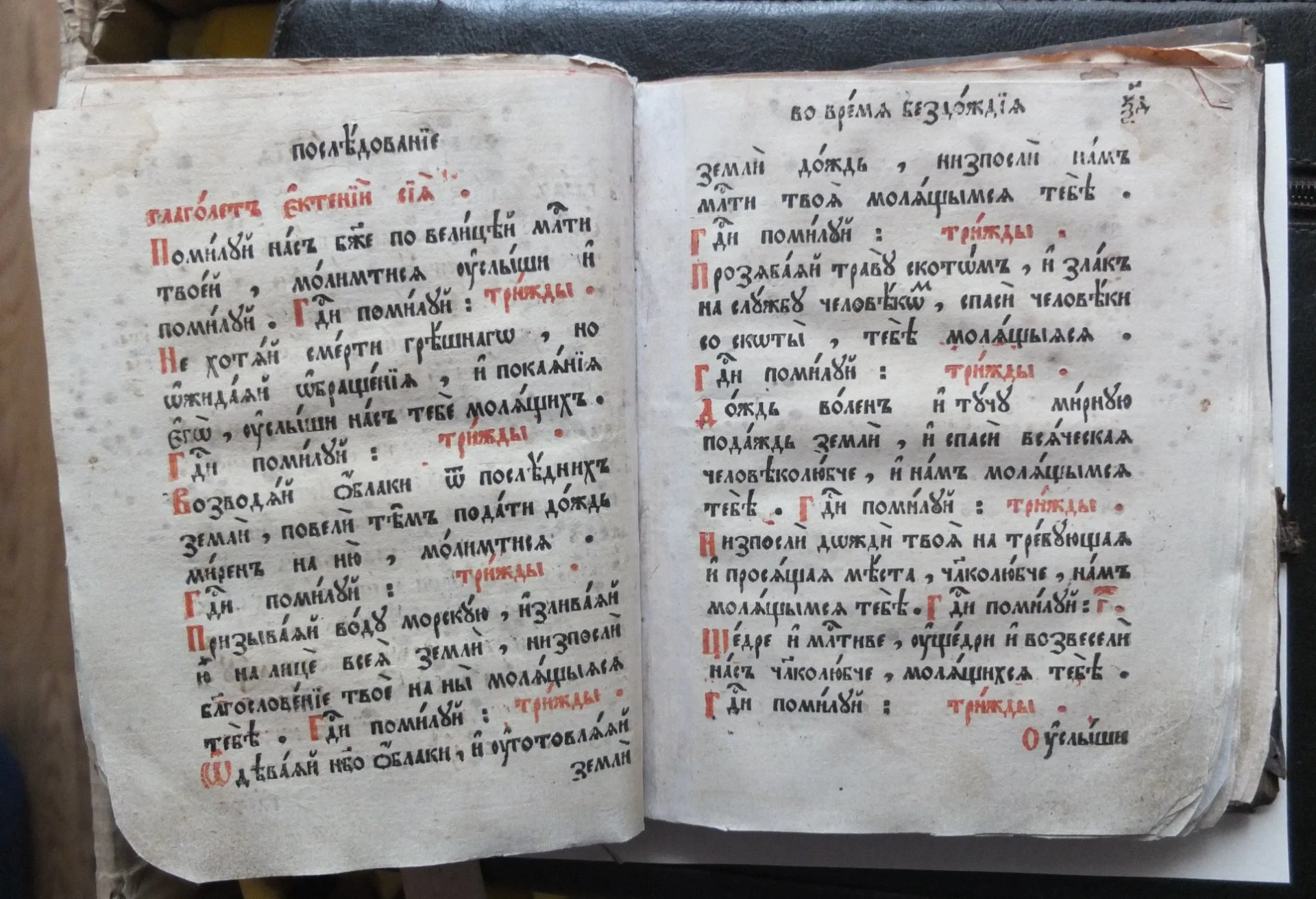 книга Последование молебных пений, Пётр 1 - миниатюра 10