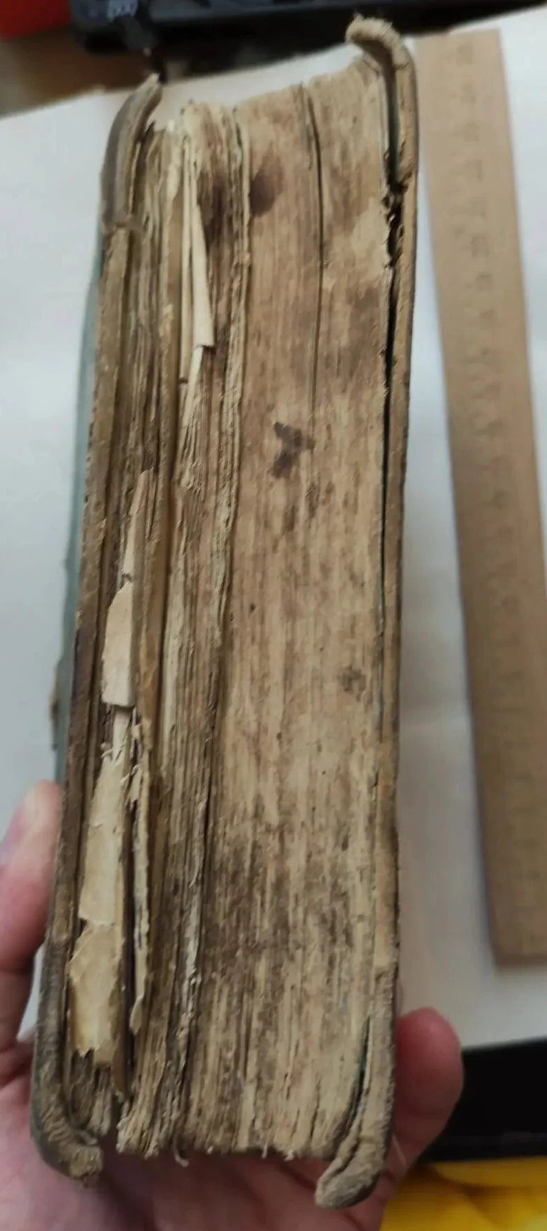 церковная книга Требник, царская Россия - миниатюра 2