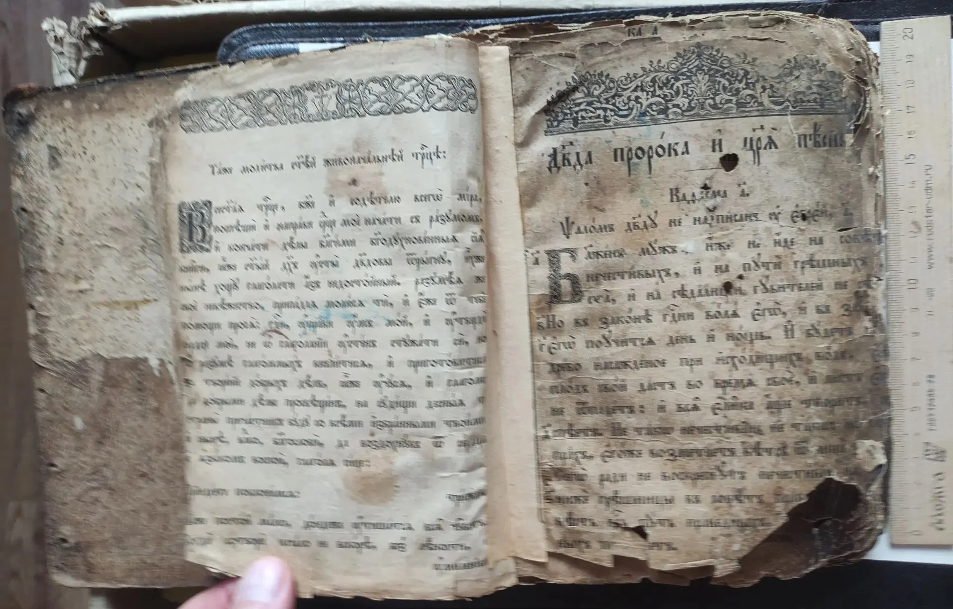 церковная книга Псалтырь, намоленный, 19 век - миниатюра 7